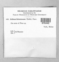 Image Associated With the Occurence